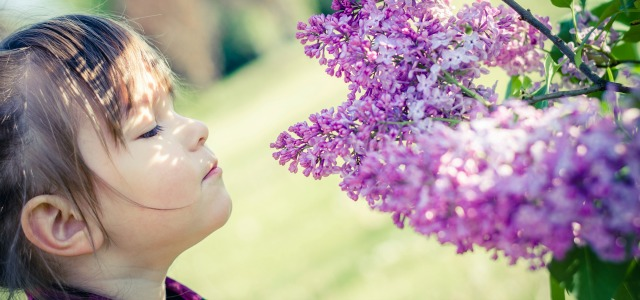 ¿Qué beneficios tiene la aromaterapia en niños?
