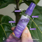 Kit Sprays